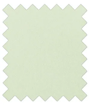 Pale Mint Wedding Tie